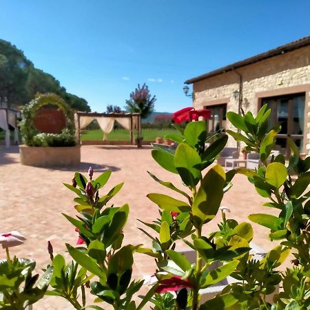 Il Pianaccio Villa Spoleto Exteriör bild