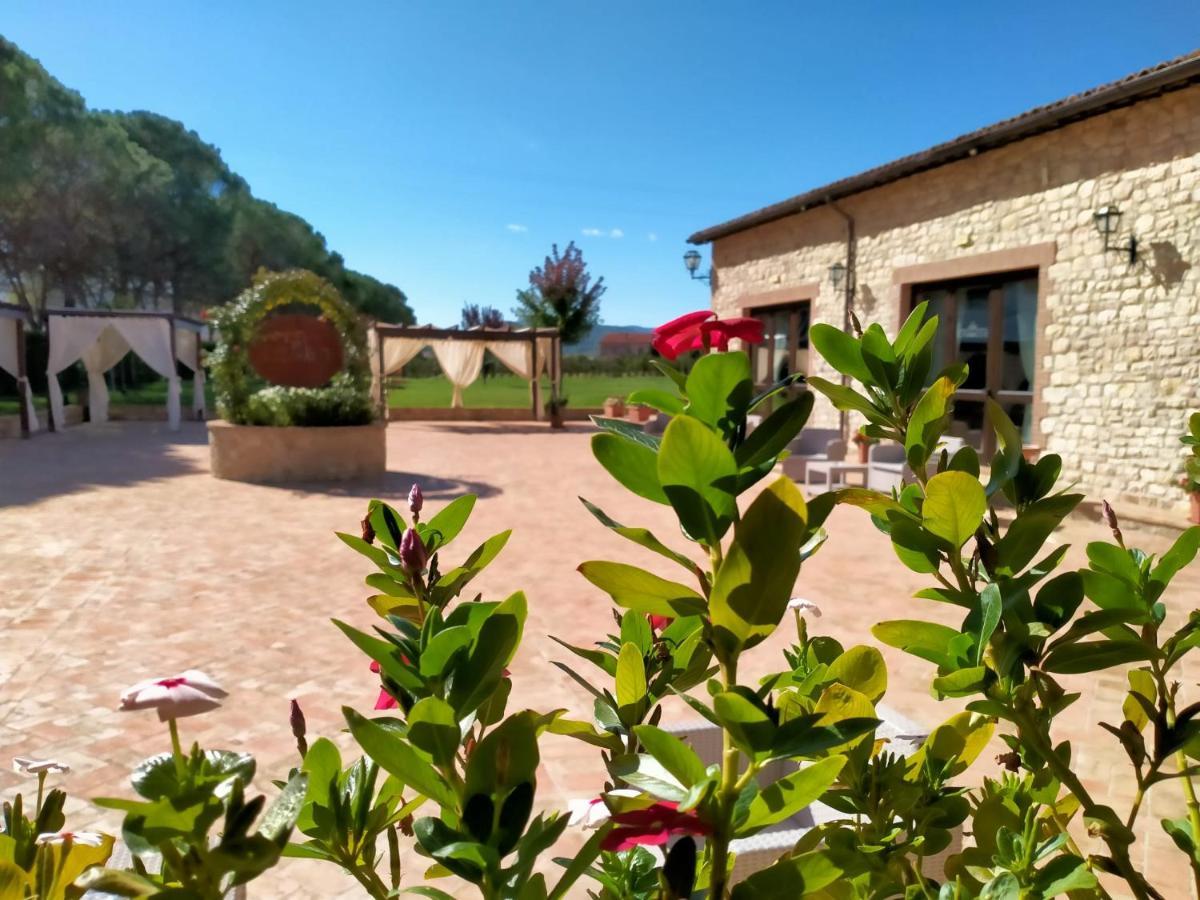 Il Pianaccio Villa Spoleto Exteriör bild